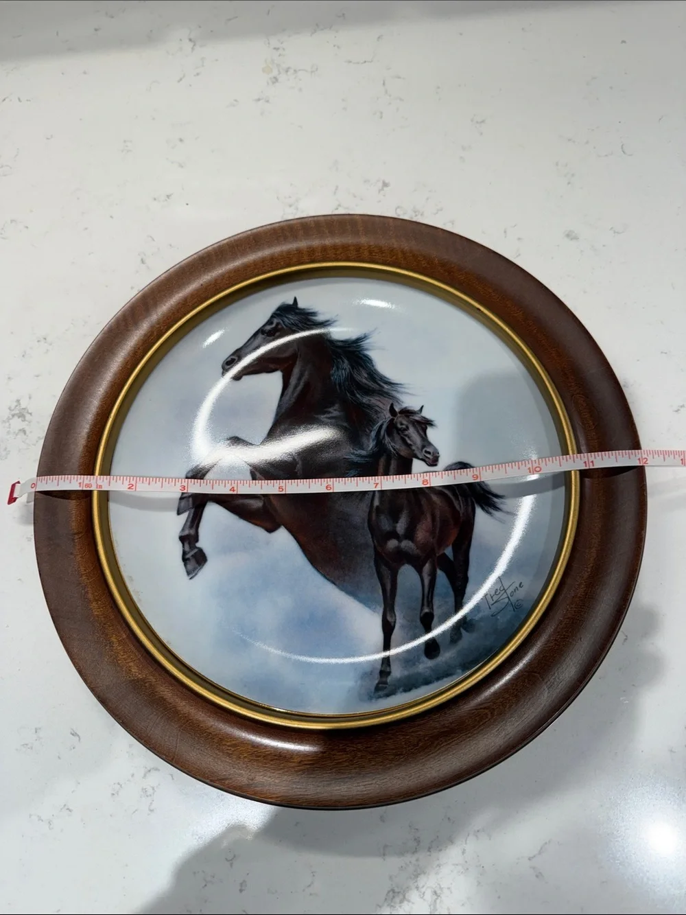 Fred Stone “The Black Stallion” Horse Wall Plate in Wood Frame